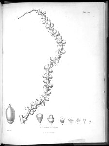 n667_w1150