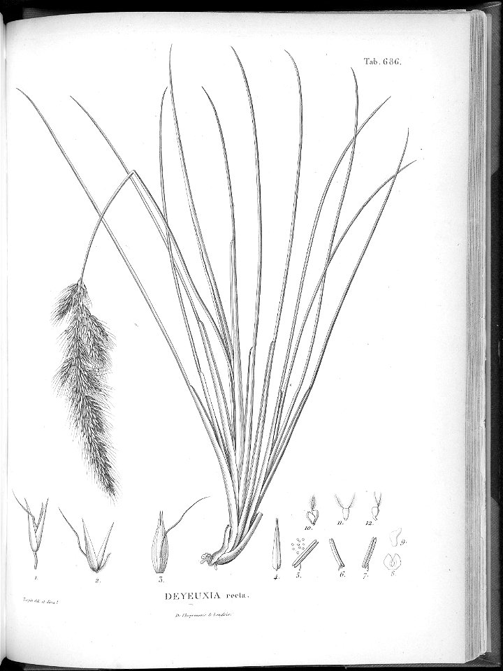 n652_w1150