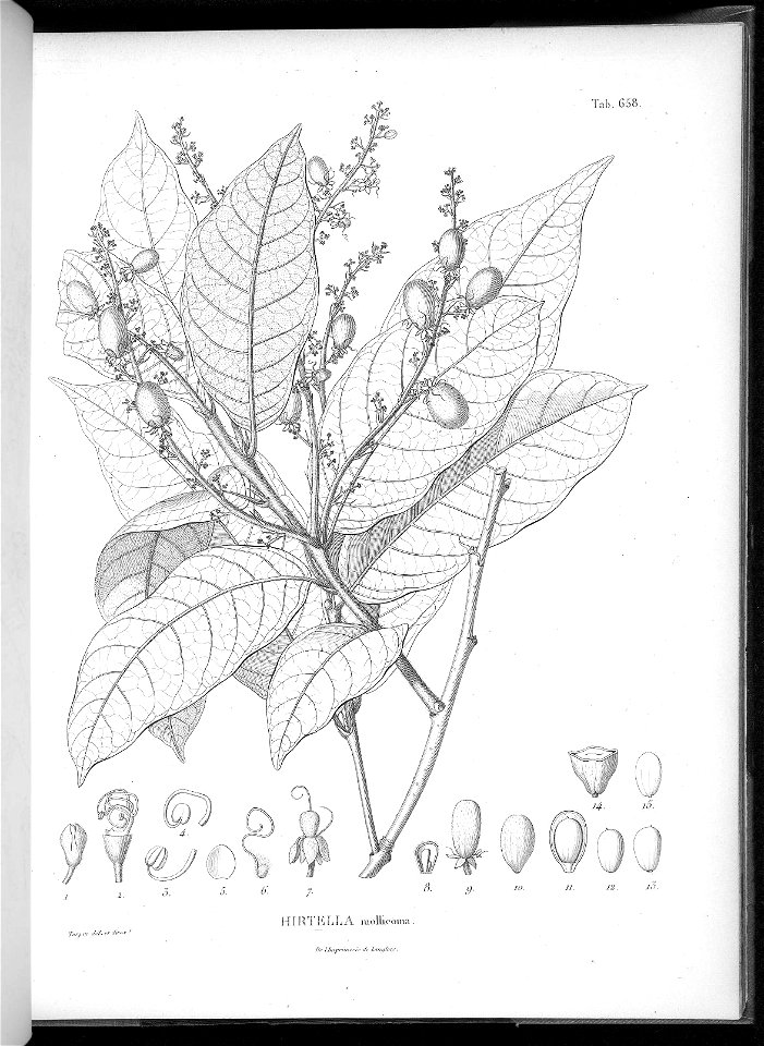 n622_w1150