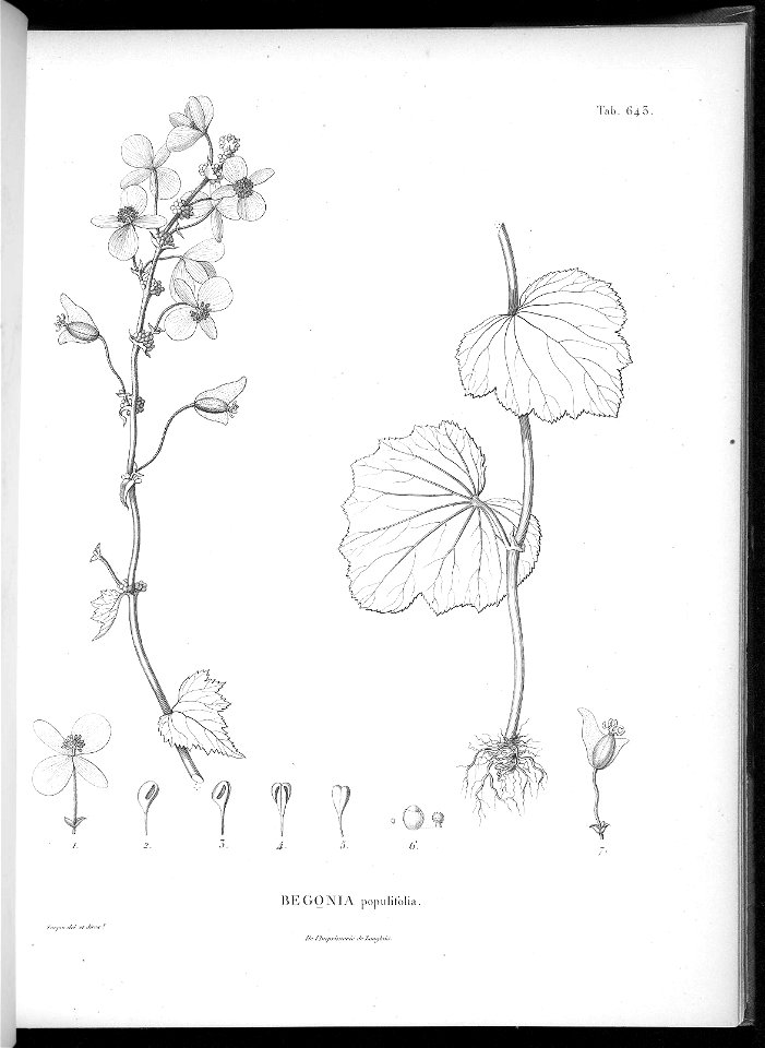 n605_w1150
