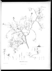 n604_w1150