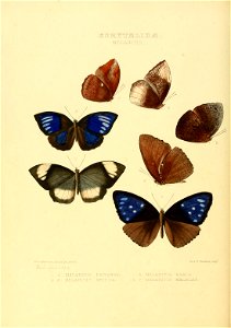 n147_w1150