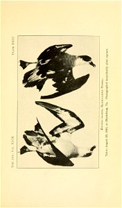n618_w1150