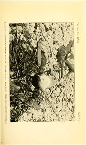 n102_w1150