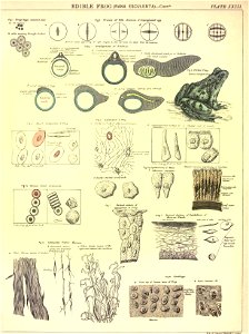 n105_w1150