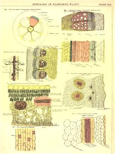 n43_w1150