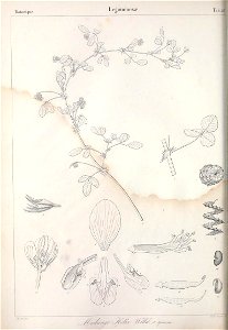 n115_w1150