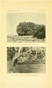 n583_w1150