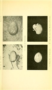 n132_w1150