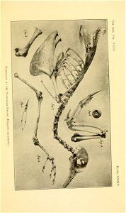 n490_w1150