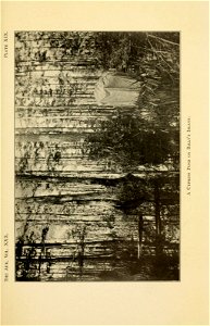 n594_w1150