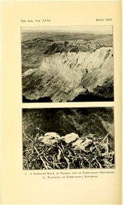 n257_w1150