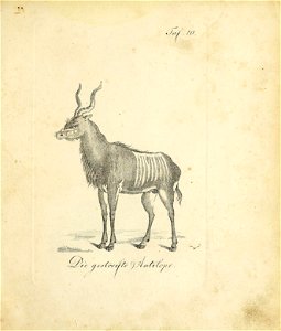 n376_w1150