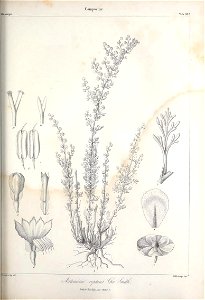 n468_w1150