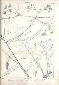 n664_w1150