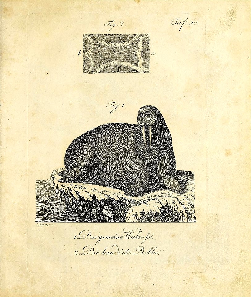 n468_w1150
