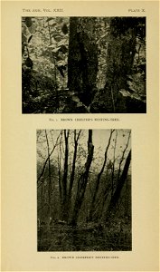 n547_w1150