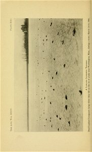 n459_w1150