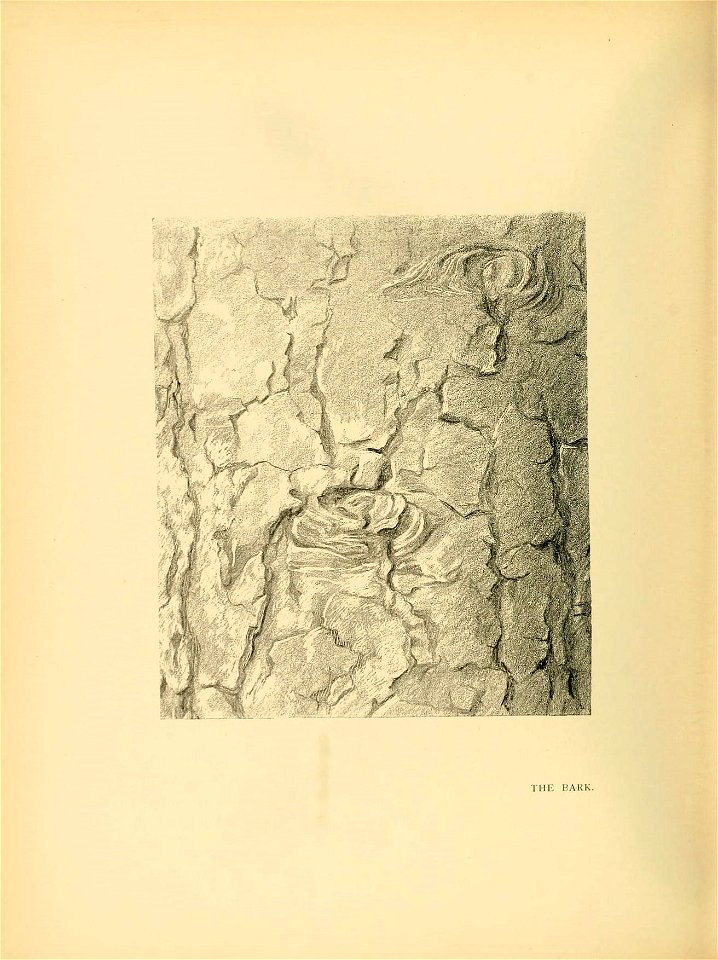 n303_w1150