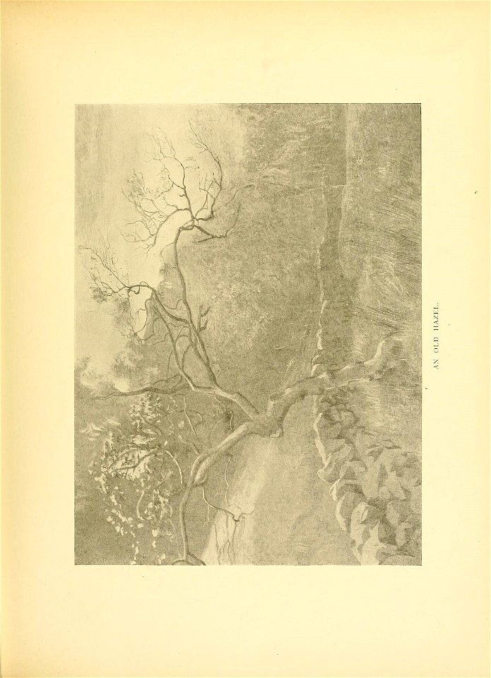 n218_w1150