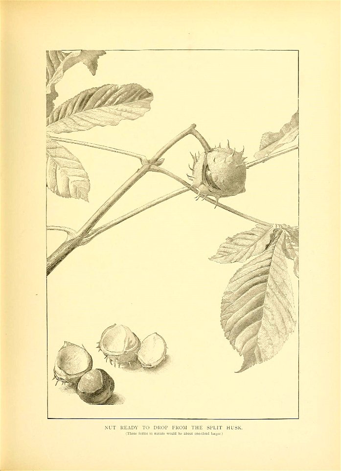 n172_w1150