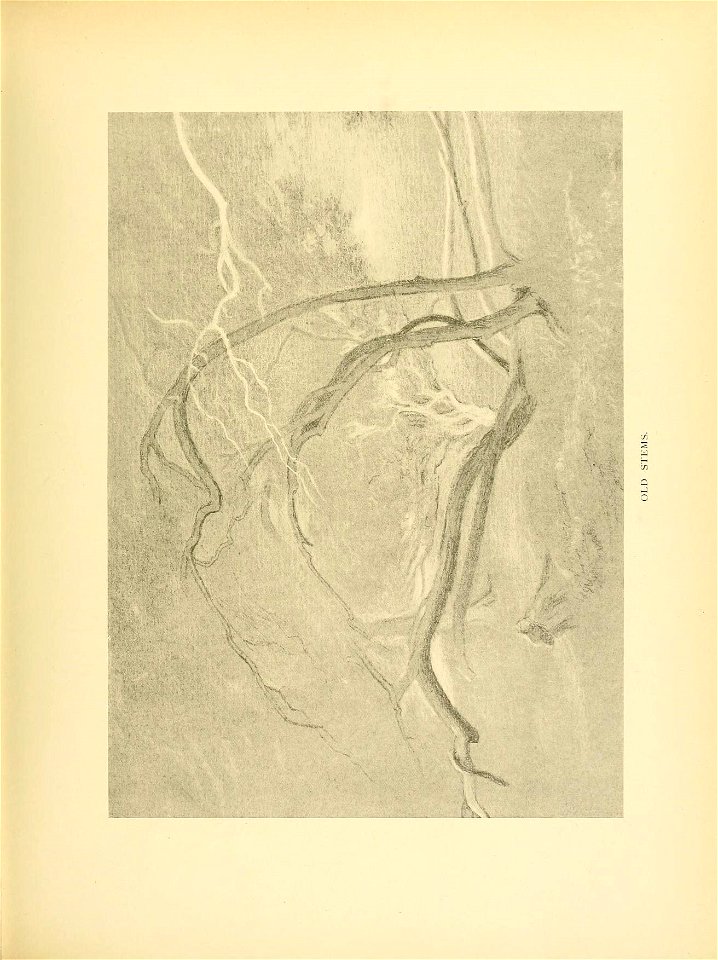 n132_w1150