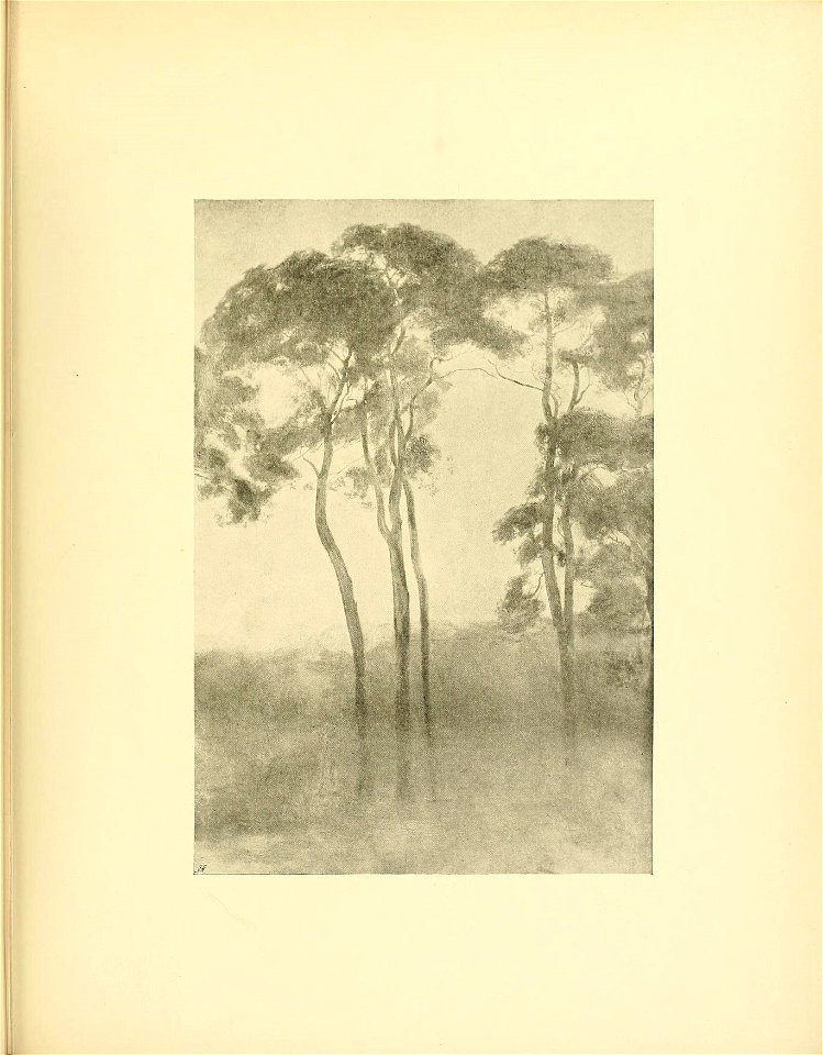 n350_w1150
