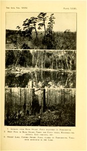 n318_w1150