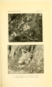 n112_w1150