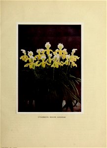 n178_w1150
