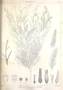 n440_w1150