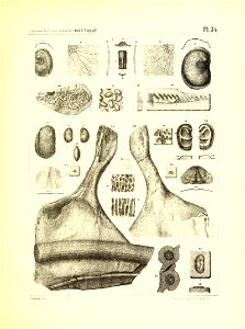 n144_w1150