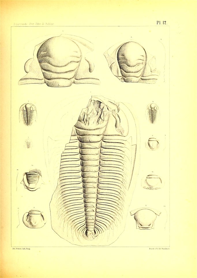 n58_w1150