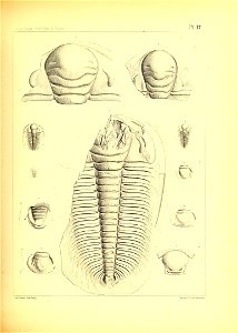 n58_w1150