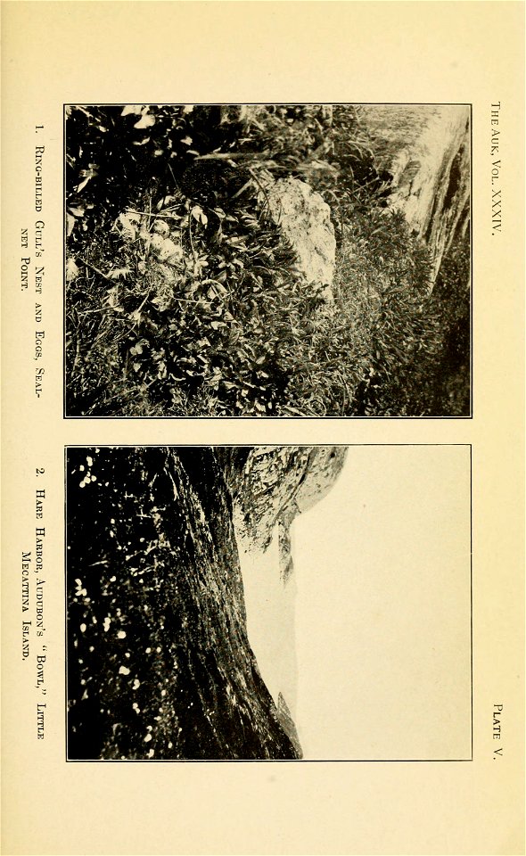 n206_w1150