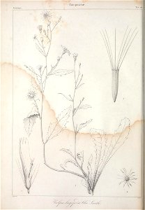 n609_w1150