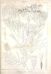n672_w1150