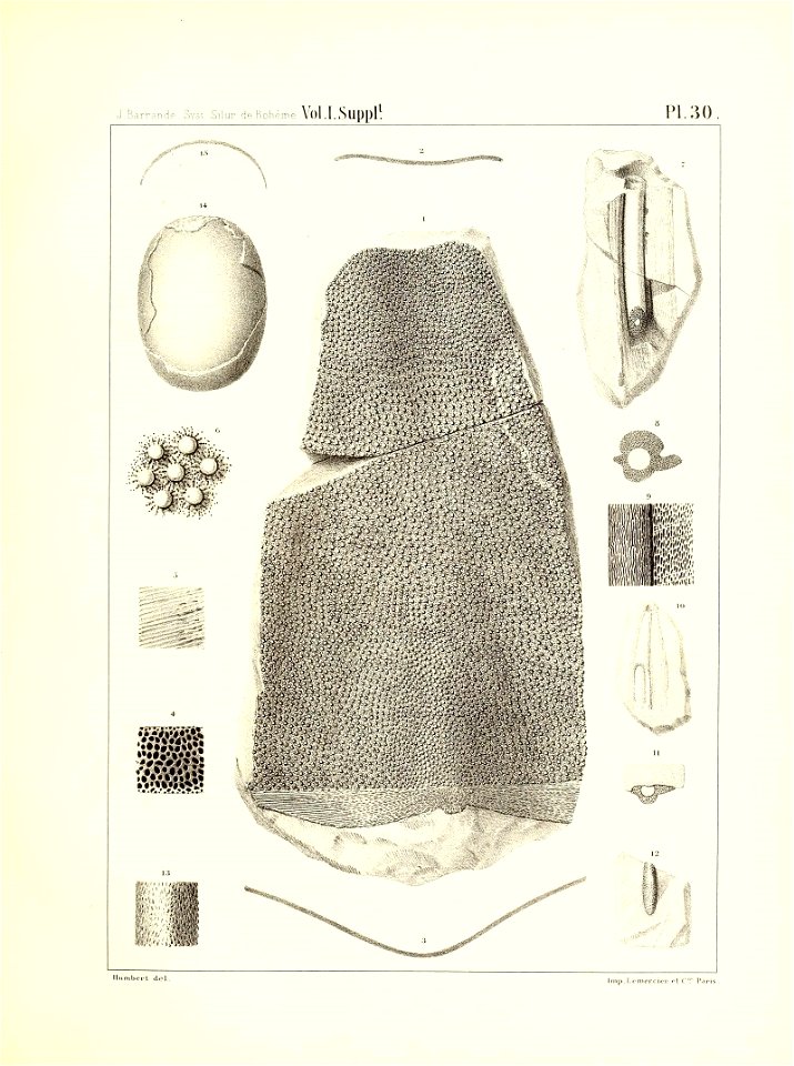 n128_w1150
