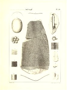 n128_w1150