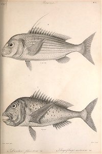 n200_w1150