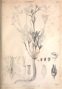 n398_w1150