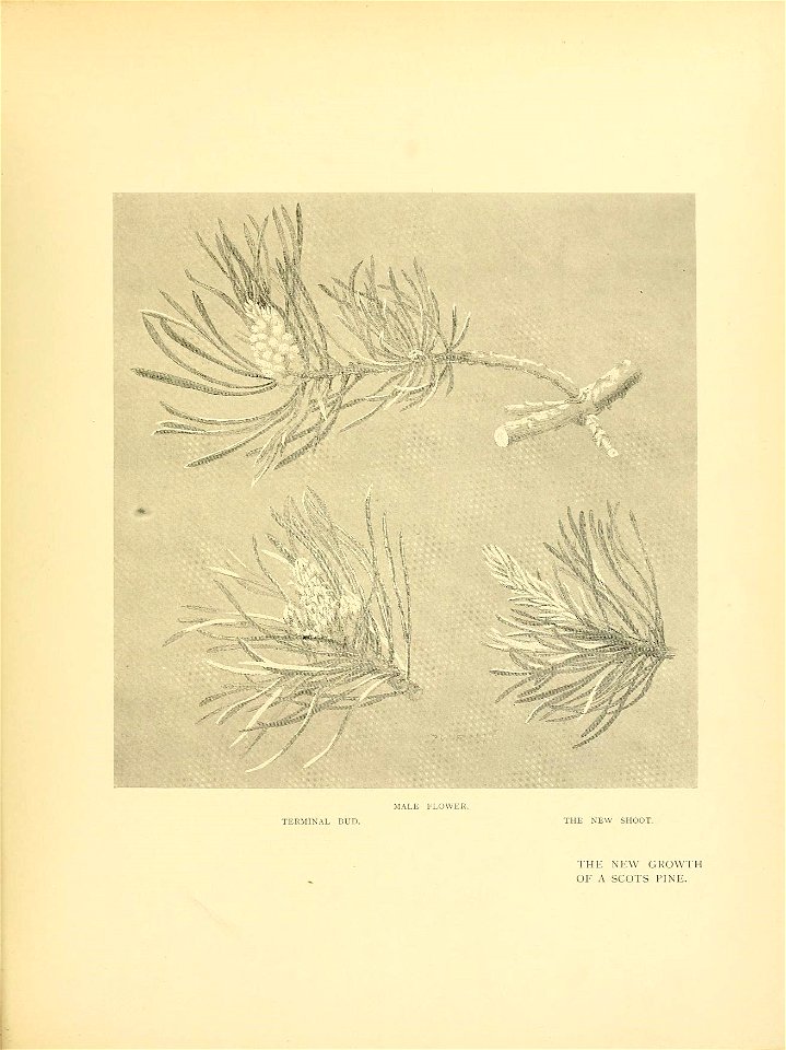 n358_w1150