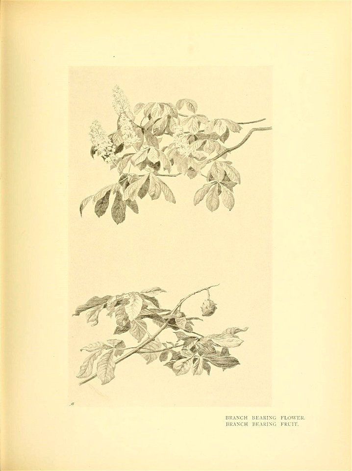 n174_w1150