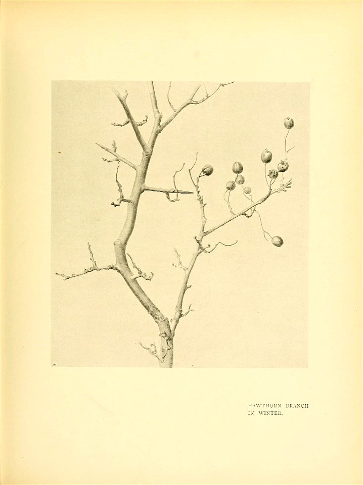 n136_w1150