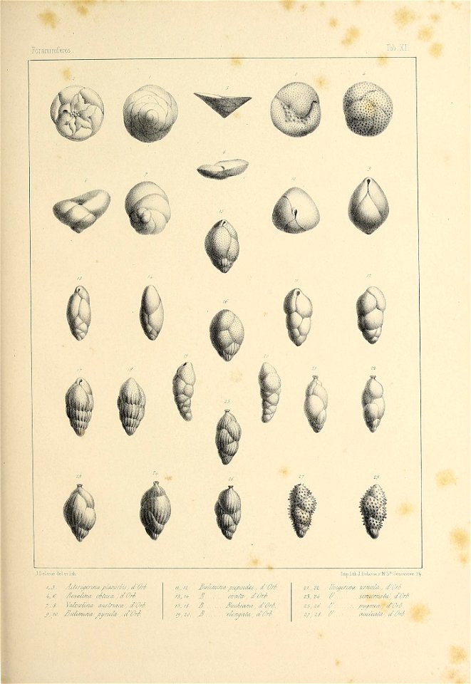 n382_w1150