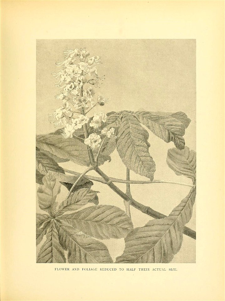 n170_w1150