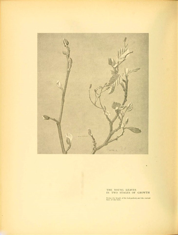 n209_w1150