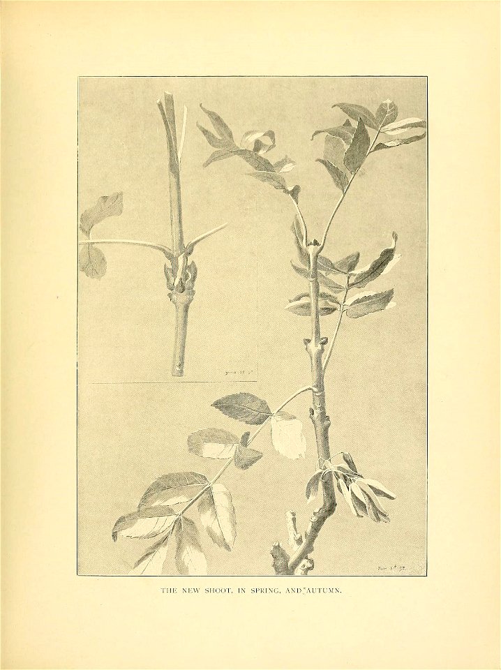n18_w1150
