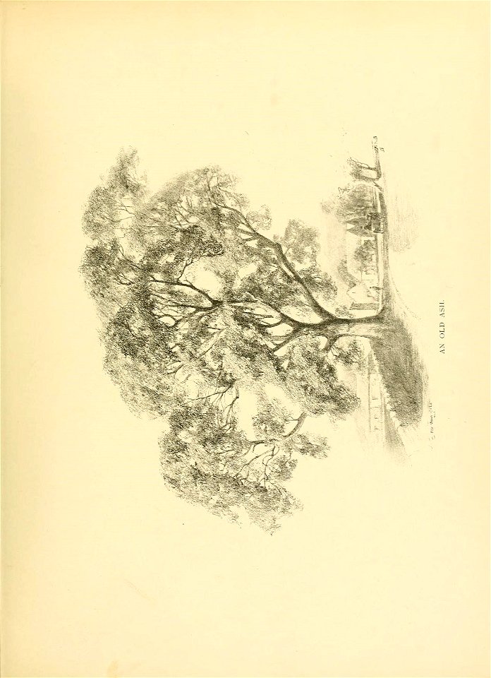 n14_w1150