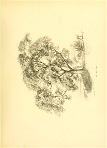 n14_w1150